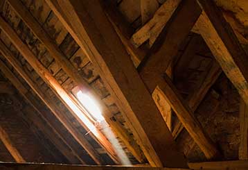 Attic Cleaning | Attic Cleaning Santa Clarita, CA